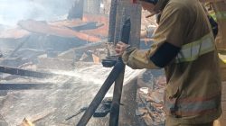 Ditinggal Jemput Anak Sekolah, Kandang Sapi Warga Mojo Kediri Terbakar akibat Bakar Sampah