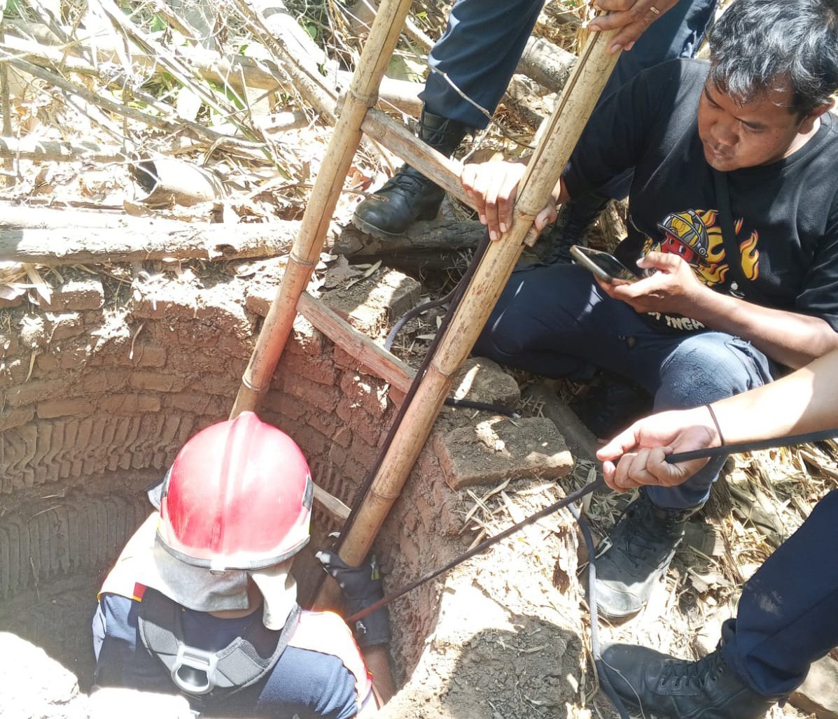 Anak Kambing Etawa Terperosok ke Sumur Sedalam 15 Meter, Damkar Kediri Turun Tangan