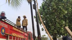 Tiang Kabel WiFi Terbakar di Badas Kediri, Damkar Pare Bergerak Cegah Api Merembet