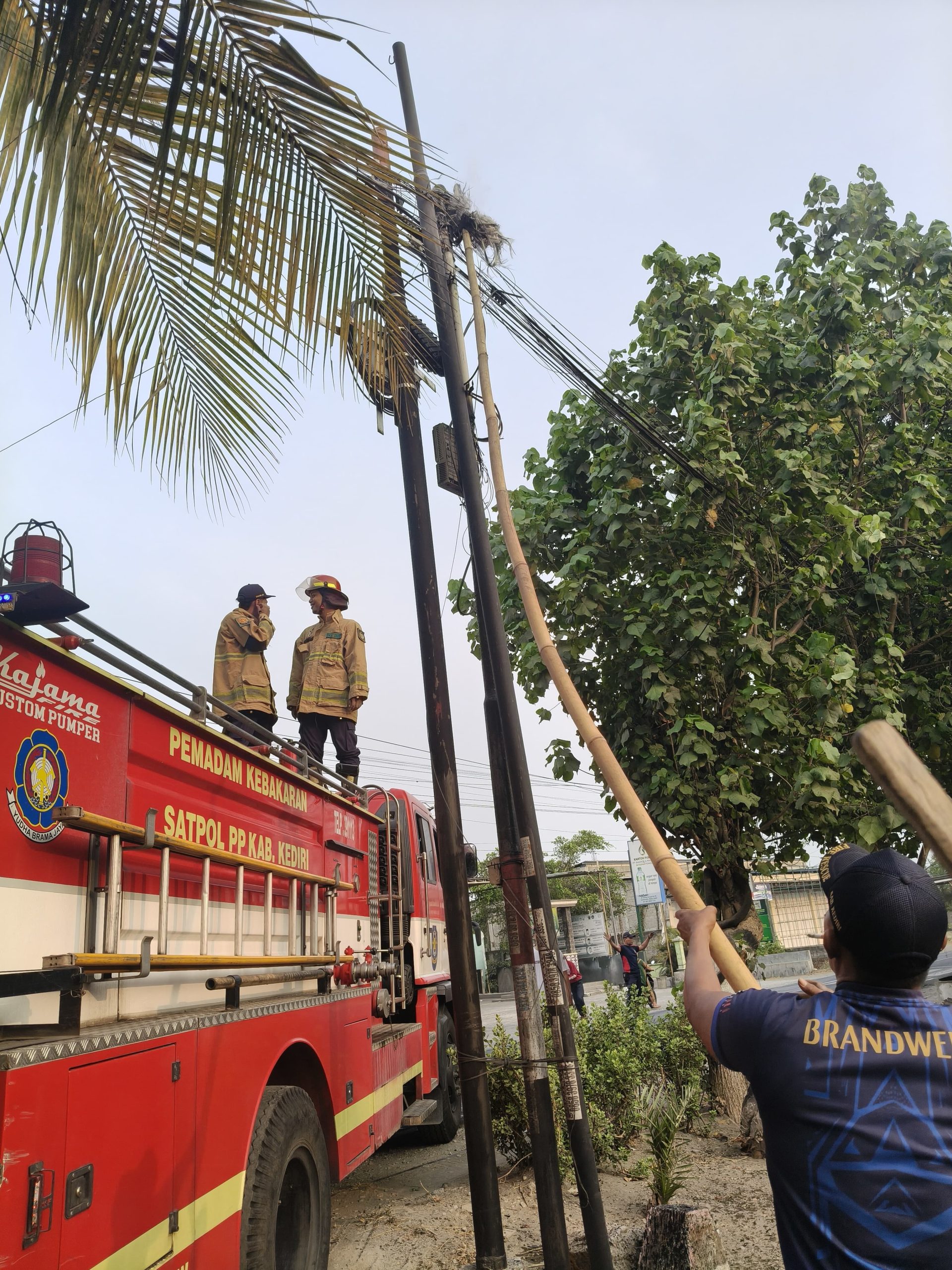 Tiang Kabel WiFi Terbakar di Badas Kediri, Damkar Pare Bergerak Cegah Api Merembet