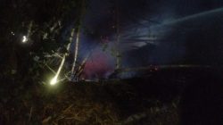 Rumpun Bambu Terbakar di Tarokan, Damkar Grogol Bergerak Cepat Cegah Api Merembet ke Permukiman