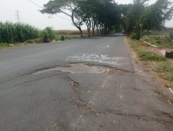 Baru Sebulan Diperbaiki, Jalan Raya Bulupasar Pagu Kediri Kembali Rusak dan Retak