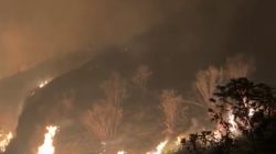 BPBD Kabupaten Malang Catat 57 Titik Panas Kebakaran Hutan di Kawasan Tahura R. Soerjo