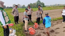 Polsek Wlingi Manfaatkan Lahan Kosong untuk Tanam Jagung, Dukung Ketahanan Pangan