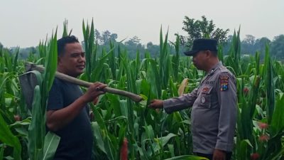 Polisi Dampingi Petani Jagung di Kanigoro, Dukung Program Ketahanan Pangan